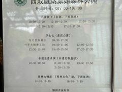 -西双版纳原始森林公园