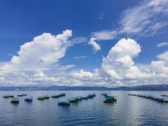 -抚仙湖禄充风景区