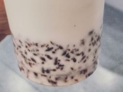 -一只酸奶牛(兰州中心店)