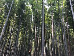 -同里国家湿地公园