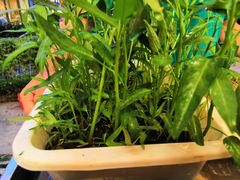 -茅草房·河畔园林火锅
