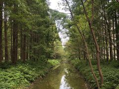 -黄海国家森林公园