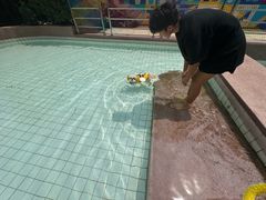 -帕帕拉兹宠物(亚洲旗舰店)