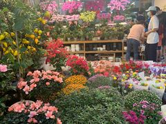 -双季花艺园艺市场(浦东店)