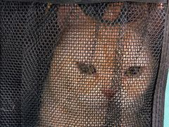 -美联众合动物医院·24h京西诊疗中心