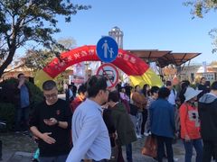 -上海长兴岛郊野公园