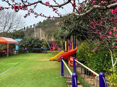 -桃源山庄·水蜜桃采摘·柴火鸡·烧烤团建(龙泉山店)