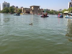 -朝阳公园游乐园