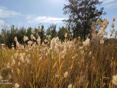 -亿利库布其七星湖沙漠生态旅游区