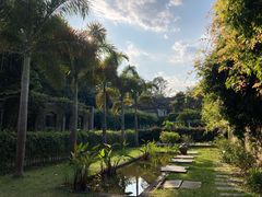 -中国科学院西双版纳热带植物园