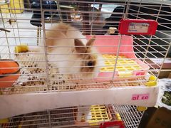 -后海16号·北京私房菜