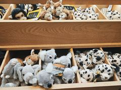 -杭州开元森泊度假乐园