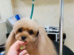 -美联众合动物医院·24h京西诊疗中心