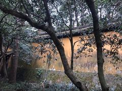 -灵隐飞来峰景区