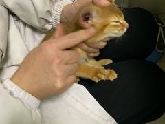 -百信宠物医院(东升街店)