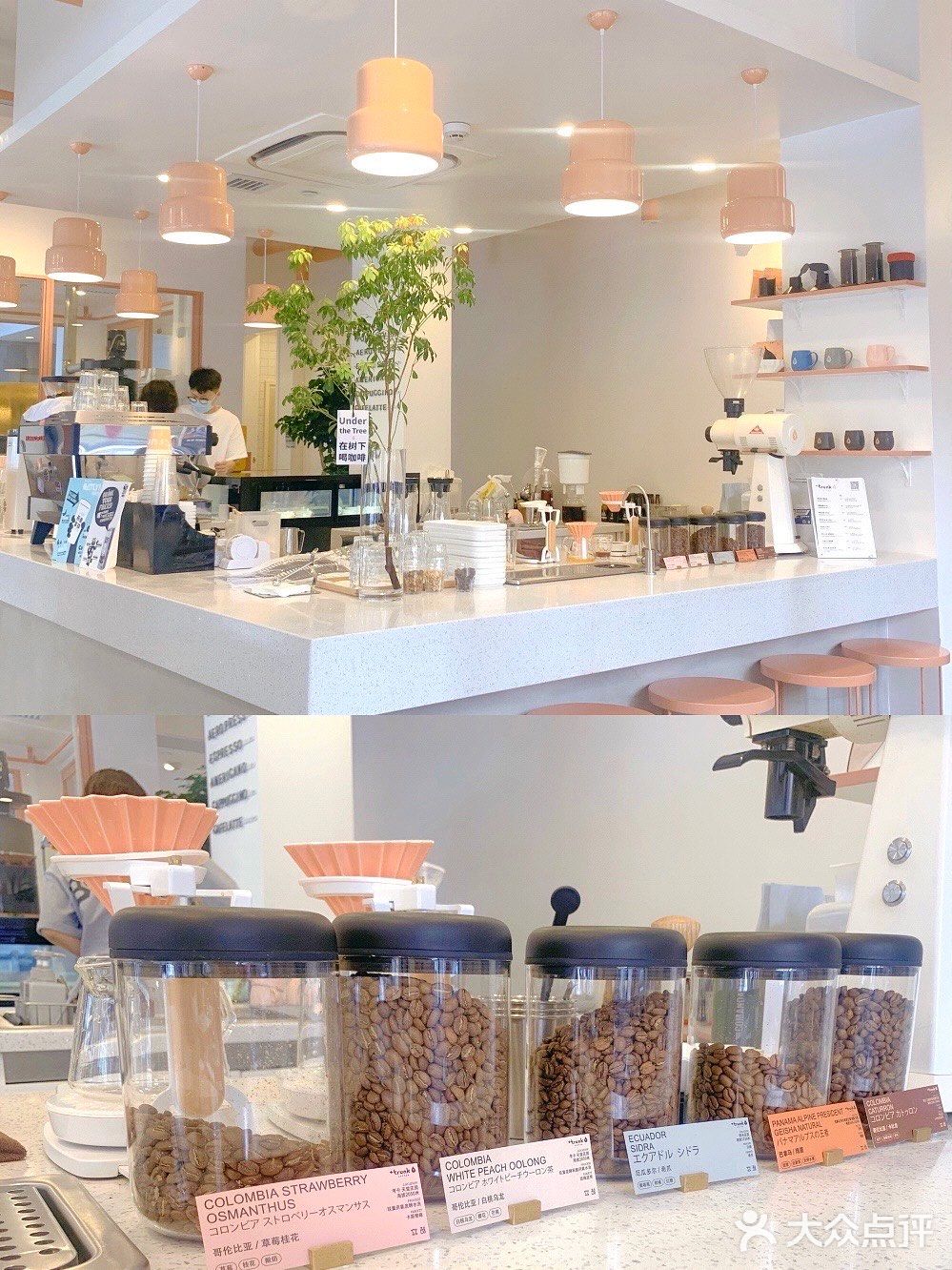 民宅里的咖啡厅｜+Trunk Coffee Roaster