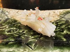 -奈良本寿司(永嘉路店)