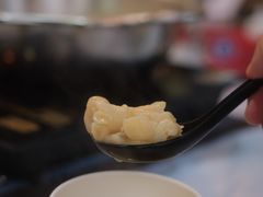 -鲜入围煮花胶鸡海鲜火锅