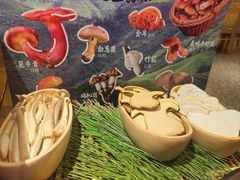 -季季山•云南野生菌火锅(上海首店)