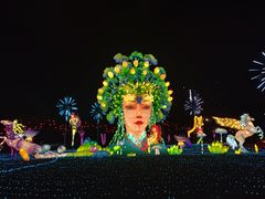 -广西壮族自治区药用植物园