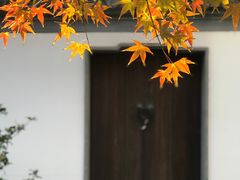 -秋霞圃