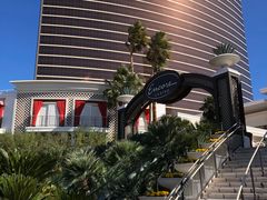 -拉斯维加斯永利酒店