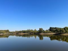 -东郊湿地公园