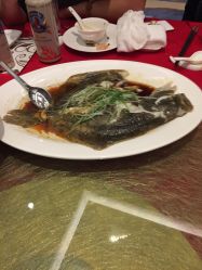 -苏州希尔顿酒店-宴会厅