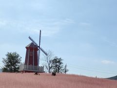 -羊亭河湿地公园