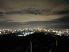 -长虫山生态公园风景林