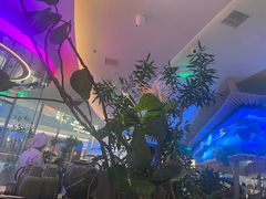 -桂满陇·蟹黄小笼汤包(清河万象店)