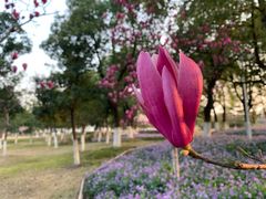 -白塘生态植物园