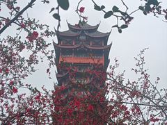 -塔子山公园