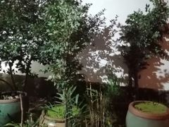 -院子餐厅·大锅菜·老杭帮(桥西直街店)