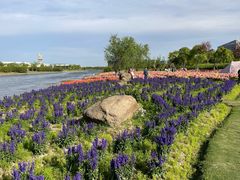 -春花秋色城市公园