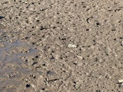 -秦岭终南山世界地质公园翠华山景区