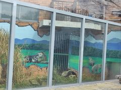 -苏州太湖国家湿地公园