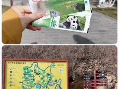 -青藏高原野生动物园