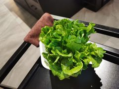 -猪无忌·专做猪肚包鸡20年(乐峰广场店)