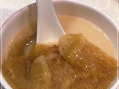 -凤城礼记鱼翅海鲜酒家(新马路总店)