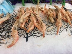 -圣罗巴海鲜自助(黑金店)