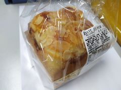 -向阳坊(树兜店)