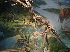 -自贡恐龙博物馆