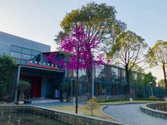 -深圳东部华侨城茵特拉根酒店