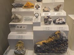-天津自然博物馆