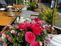 -AHAVA·Fang Baking Studio