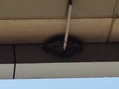 -滇越乘象云南餐厅(次渠店)