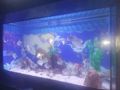 -烟台海昌鲸鲨海洋公园