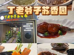 -丁老爷子苏香圆