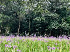 -中国天府农业博览园